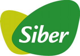 Siber